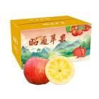 天沐浓蜜 昭通苹果云南丑苹果9斤（80mm左右） 礼盒整箱