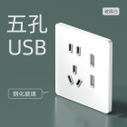 兰豹 ZGLANBAO G30超薄钢化玻璃白色系列 五孔带双USB   一个