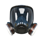 耐呗斯（NABES） 硅胶全面罩防尘及防有机气体四件套 NBS-8800TNA 1套